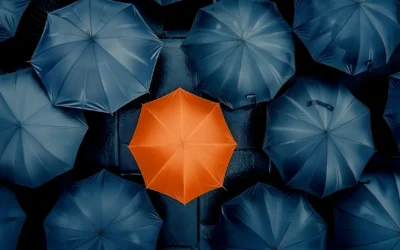 Hvordan en ny visuel identitet skabte markante resultater